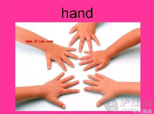 和h相關的英語單詞 head 和 hand